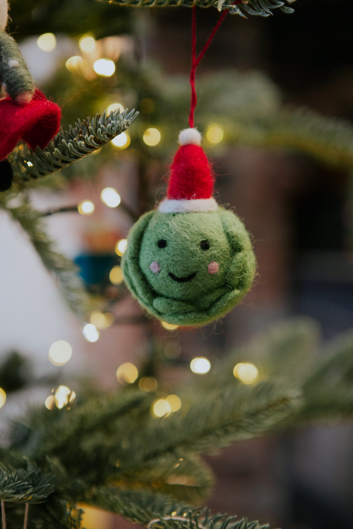 Christmas Santa Sprout Decoration